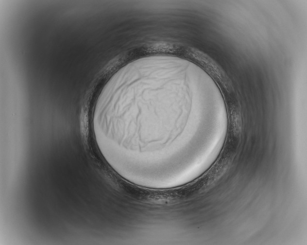 X0000100930729200807221136