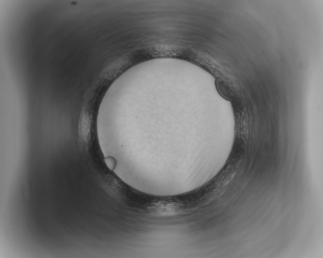 X0000100930742200807221136