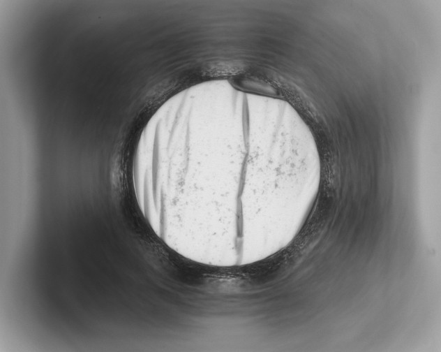 X0000100930743200807221136