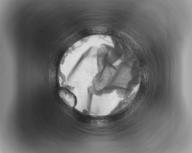 X0000100930745200807221136