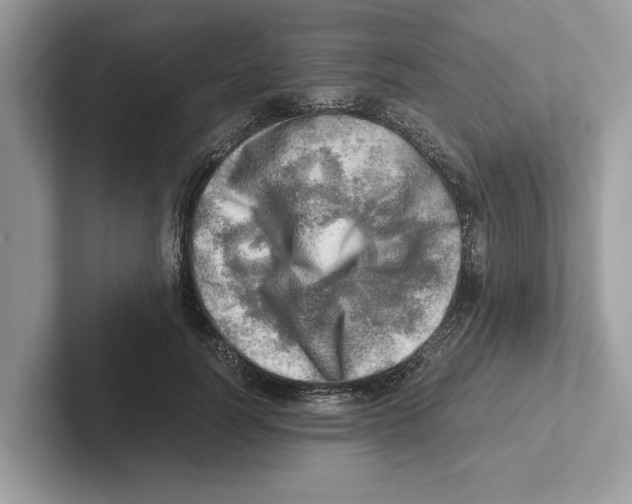 X0000100930746200807221136