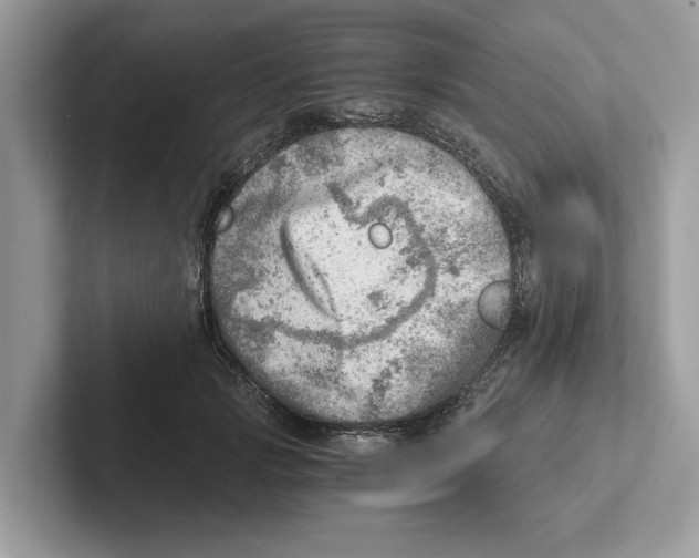 X0000100930749200807221136