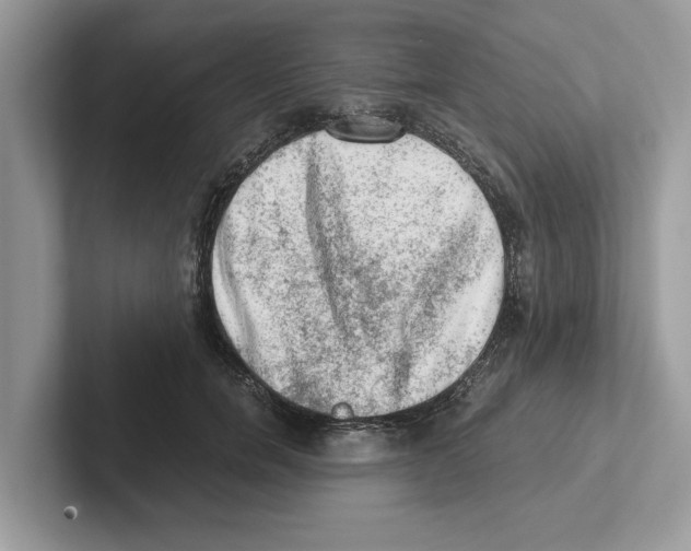 X0000100930750200807221136