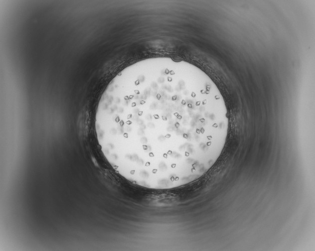 X0000100930752200807221136
