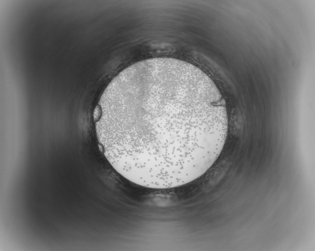 X0000100930756200807221137