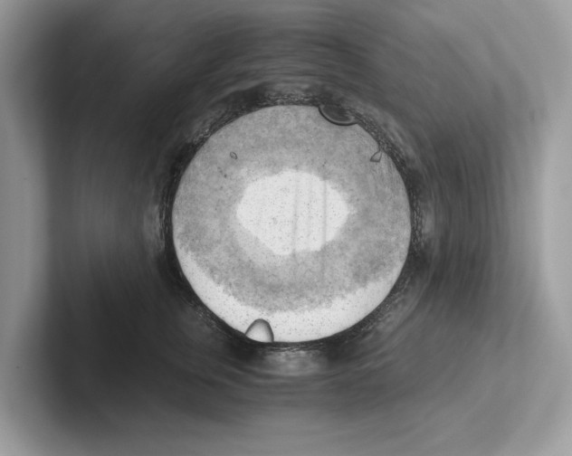 X0000100930759200807221137