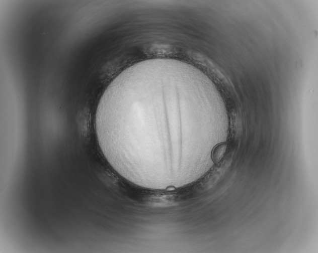 X0000100930760200807221137