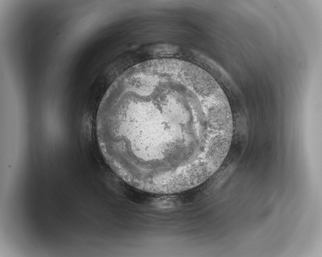 X0000100930761200807221137