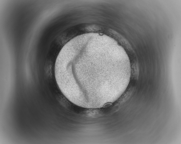 X0000100930762200807221137