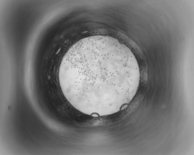 X0000100930764200807221137