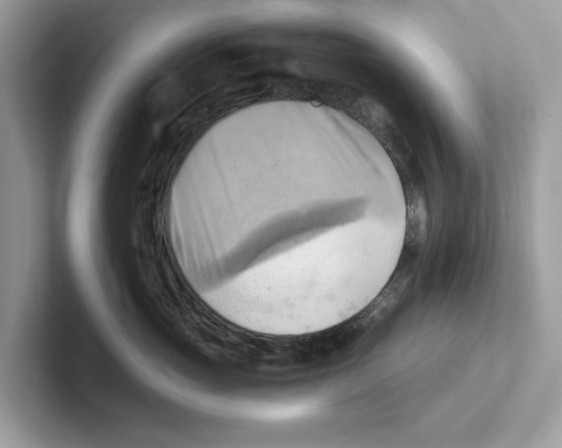 X0000100930765200807221137