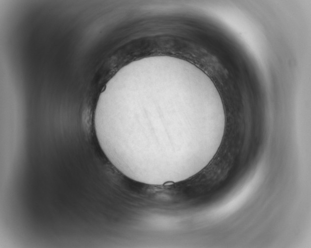 X0000100930767200807221137