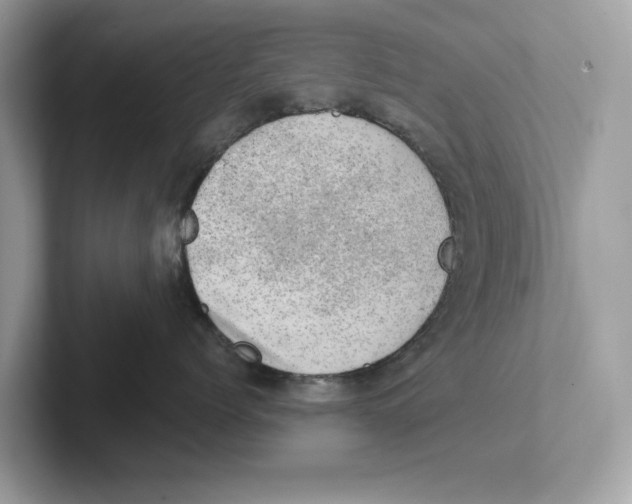 X0000100930768200807221137