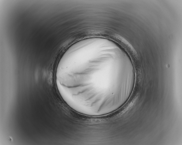 X0000100930777200807221136