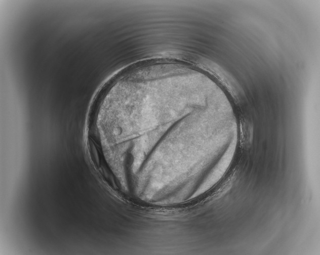 X0000100930780200807221136