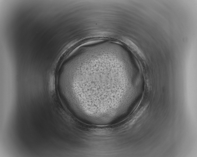 X0000100930781200807221136