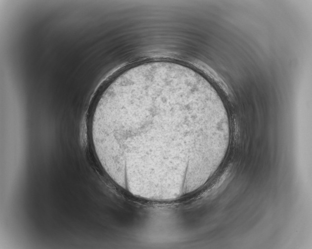 X0000100930782200807221136