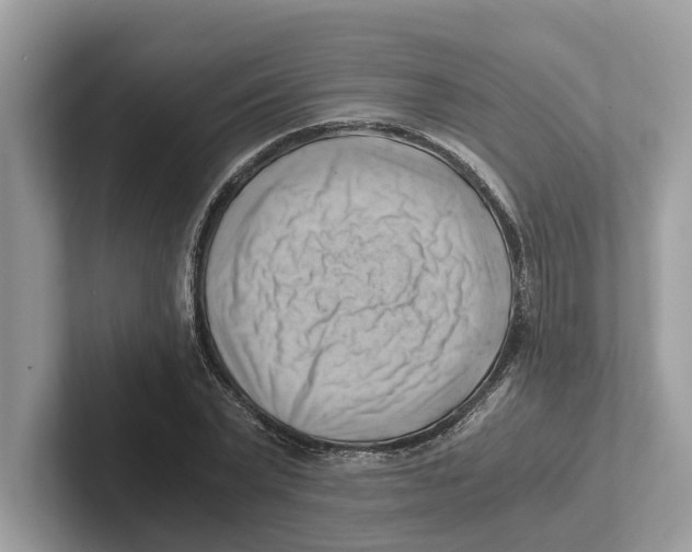 X0000100930783200807221136