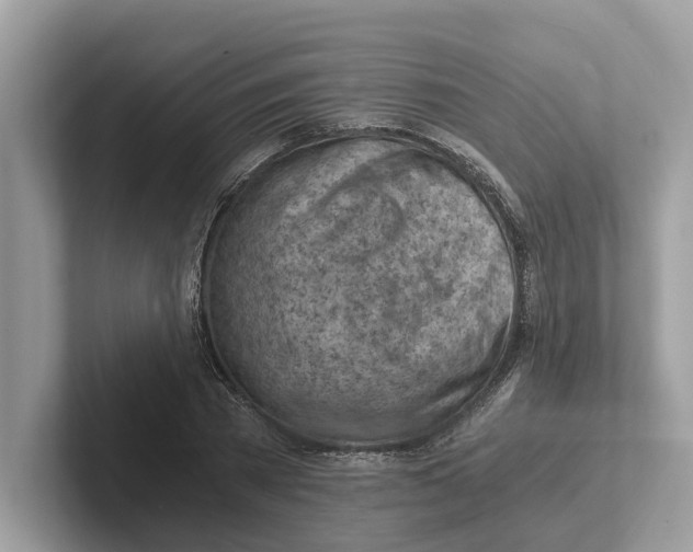 X0000100930785200807221136