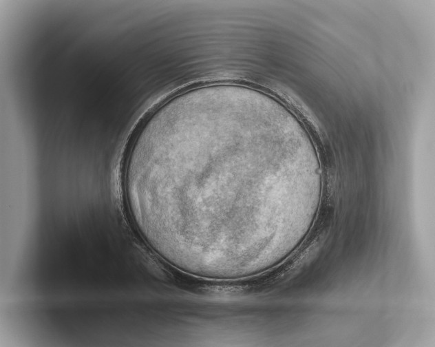 X0000100930789200807221136