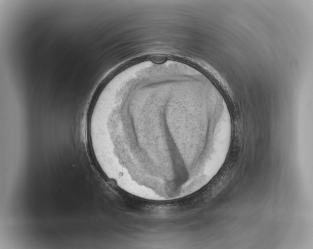 X0000100930791200807221136