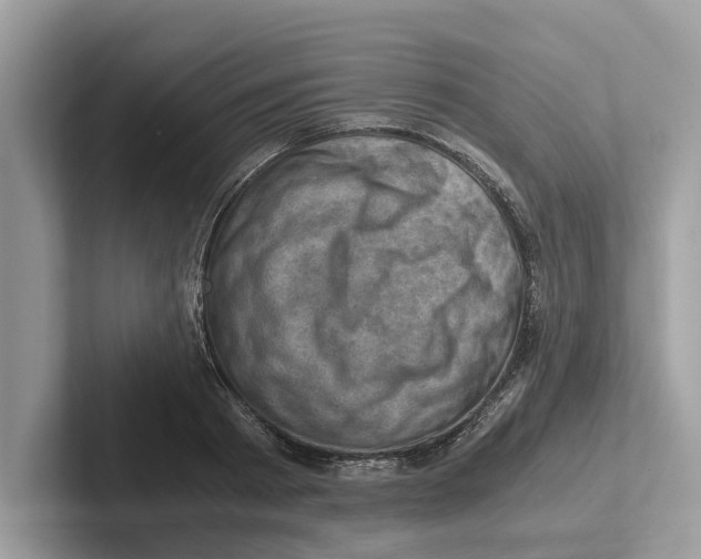 X0000100930793200807221136