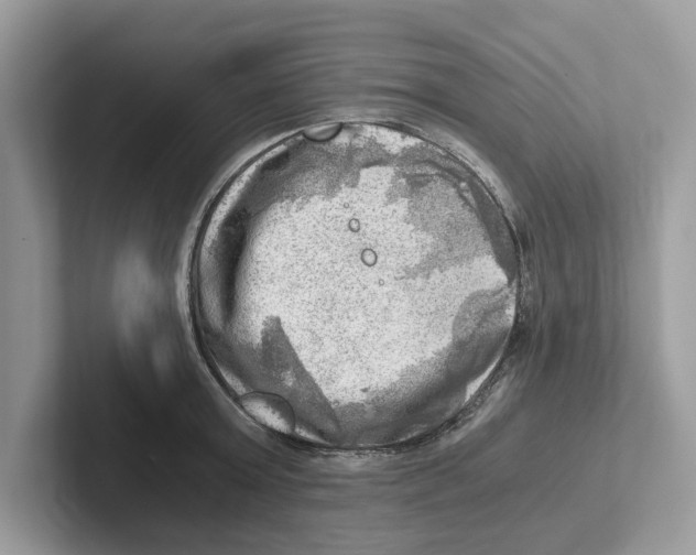 X0000100930803200807221136