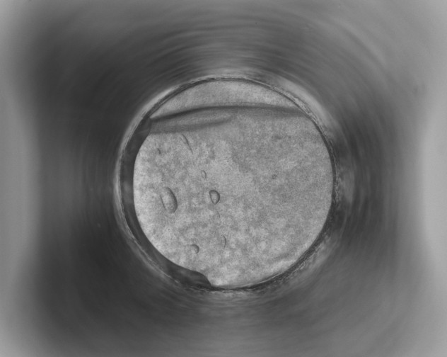 X0000100930804200807221136