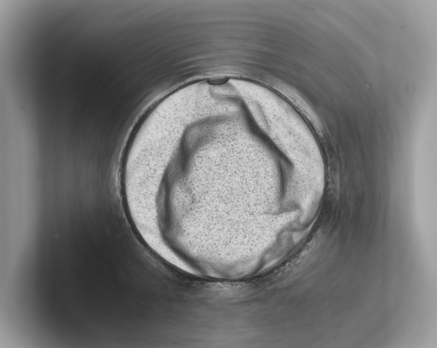 X0000100930805200807221136