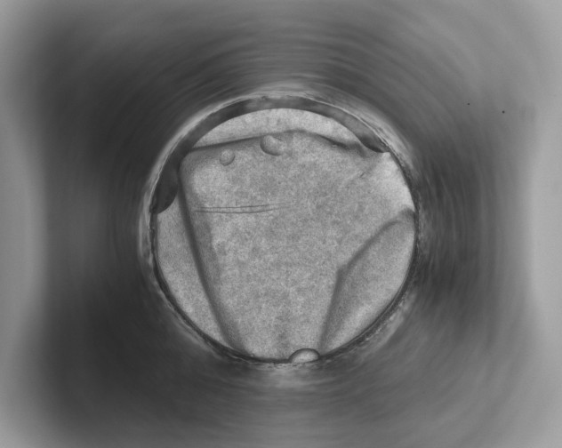 X0000100930808200807221136