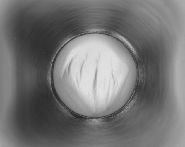 X0000100930810200807221136