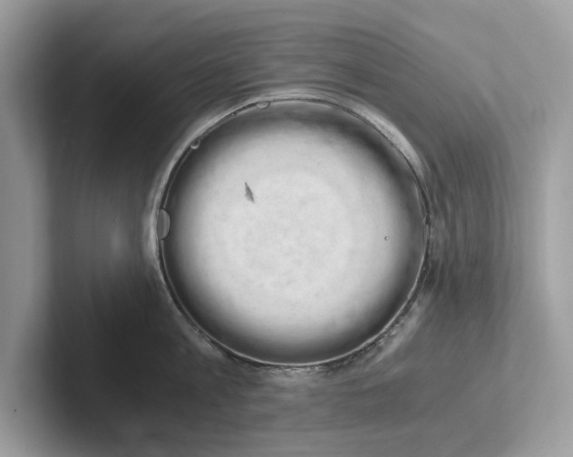 X0000100930813200807221135