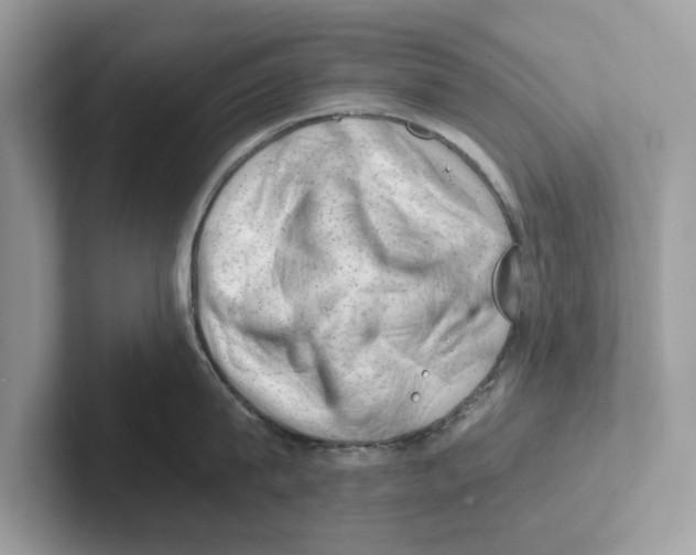 X0000100930815200807221135