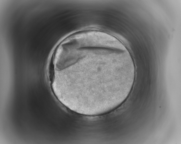 X0000100930816200807221135