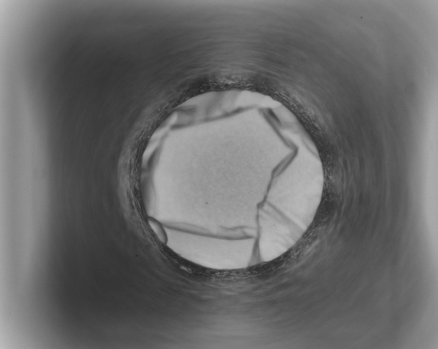 X0000100930817200807221135