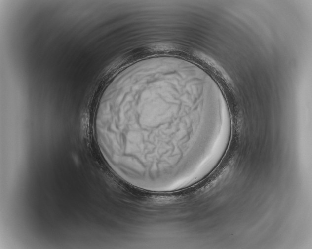 X0000100930825200807221135