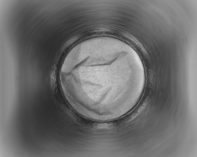 X0000100930826200807221135