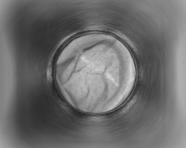 X0000100930830200807221135