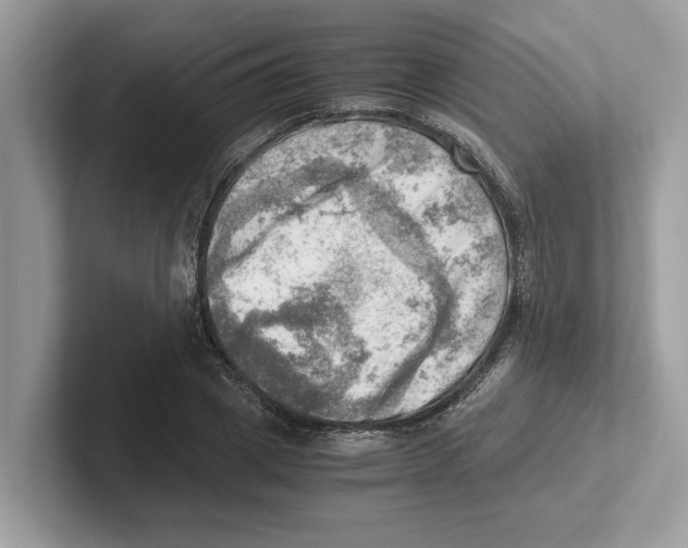 X0000100930833200807221135