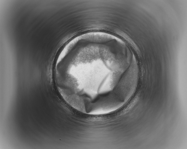 X0000100930834200807221135