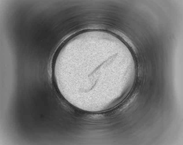 X0000100930837200807221135