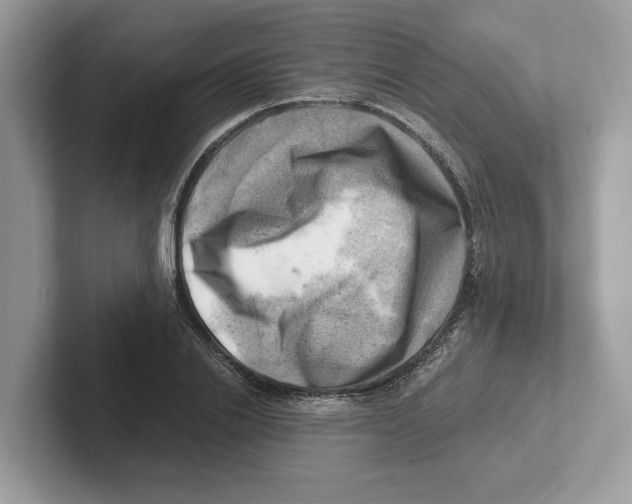 X0000100930838200807221135