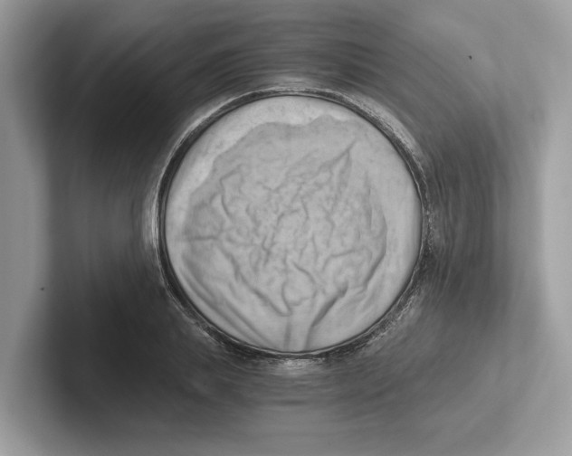 X0000100930839200807221135