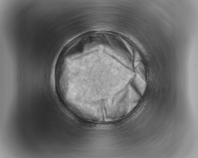 X0000100930840200807221135