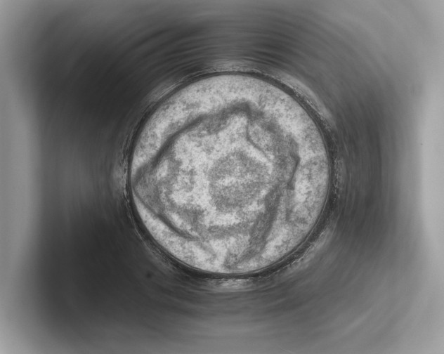 X0000100930841200807221135