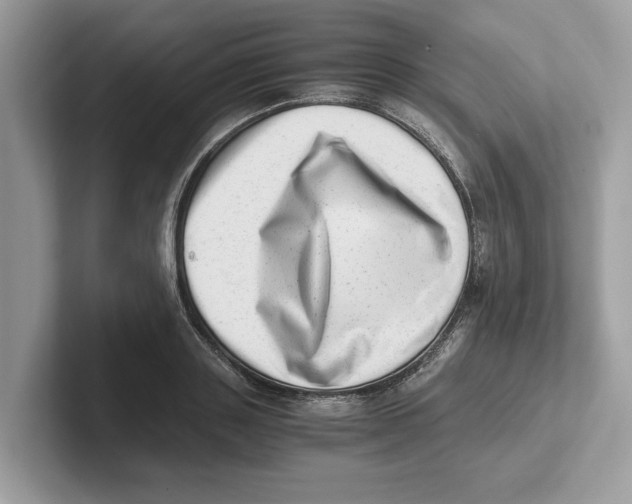 X0000100930843200807221135