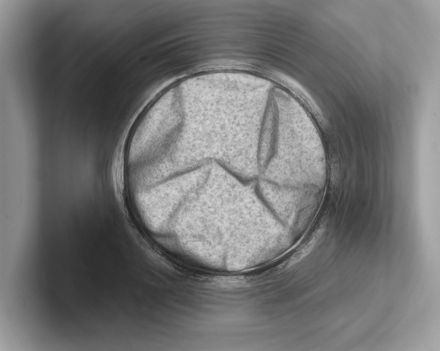 X0000100930844200807221135