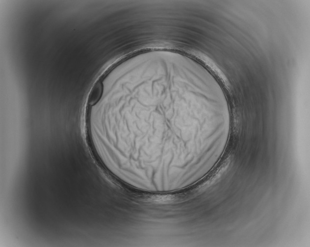 X0000100930845200807221135