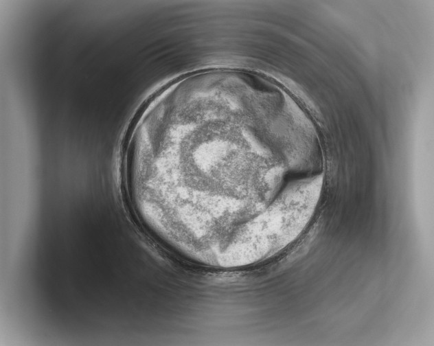 X0000100930846200807221135