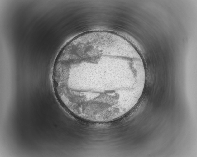 X0000100930847200807221135